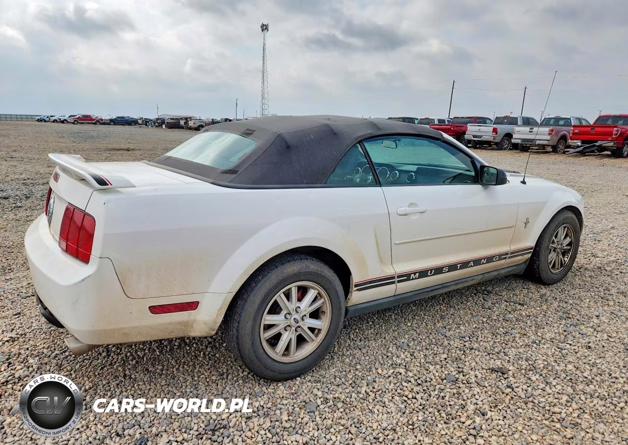 2006 Ford Mustang VIN:1ZVFT84N865254506 - 3