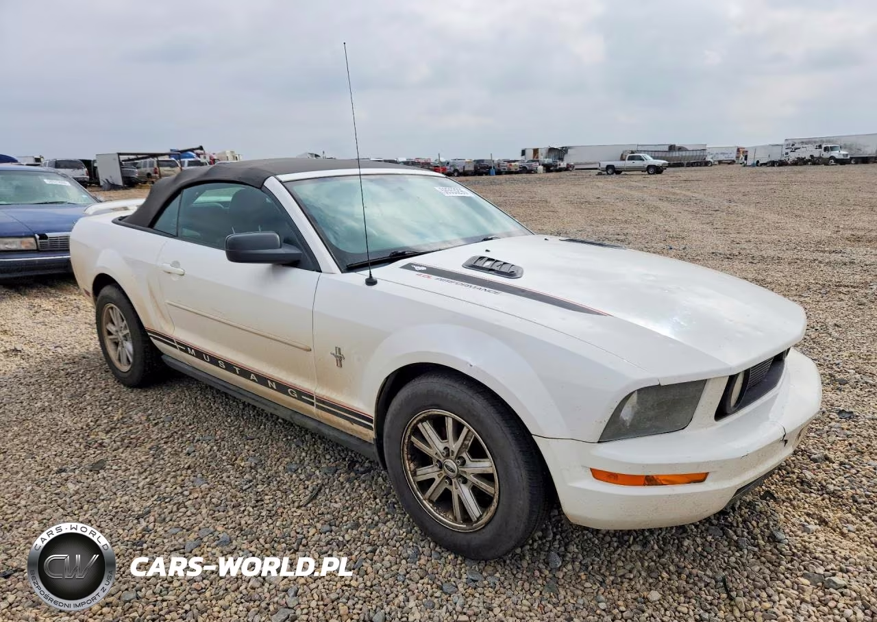 2006 Ford Mustang VIN:1ZVFT84N865254506 - 4