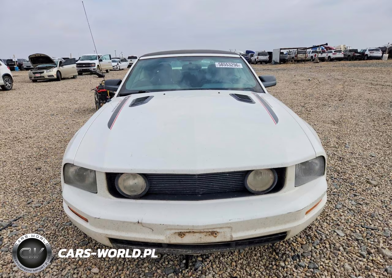 2006 Ford Mustang VIN:1ZVFT84N865254506 - 5