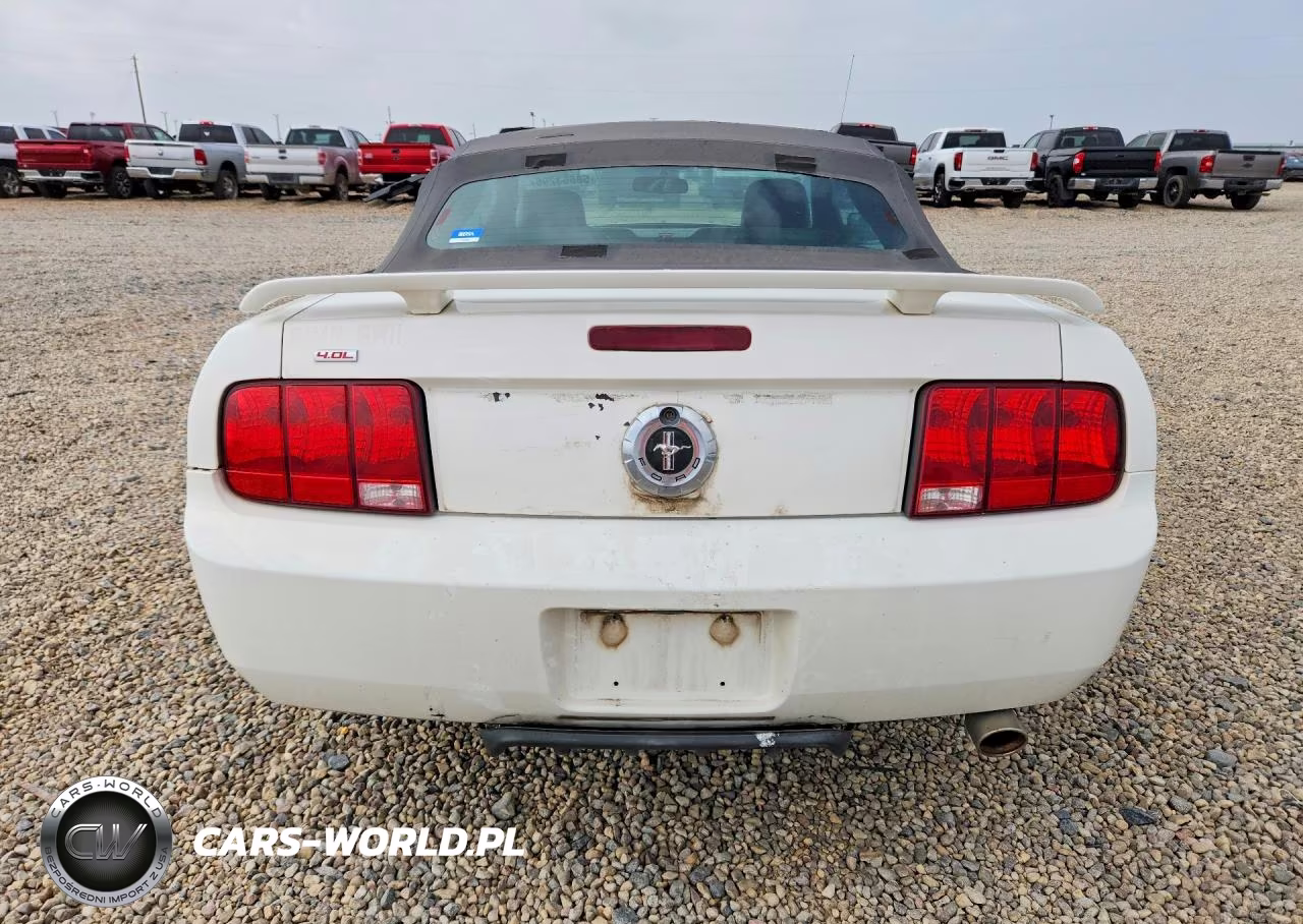 2006 Ford Mustang VIN:1ZVFT84N865254506 - 6