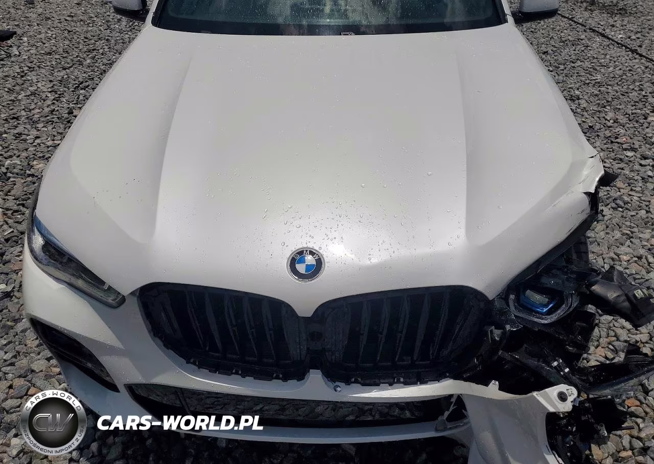 2019 BMW X5 xDrive40I VIN:5UXCR6C52KLL03665 - 12