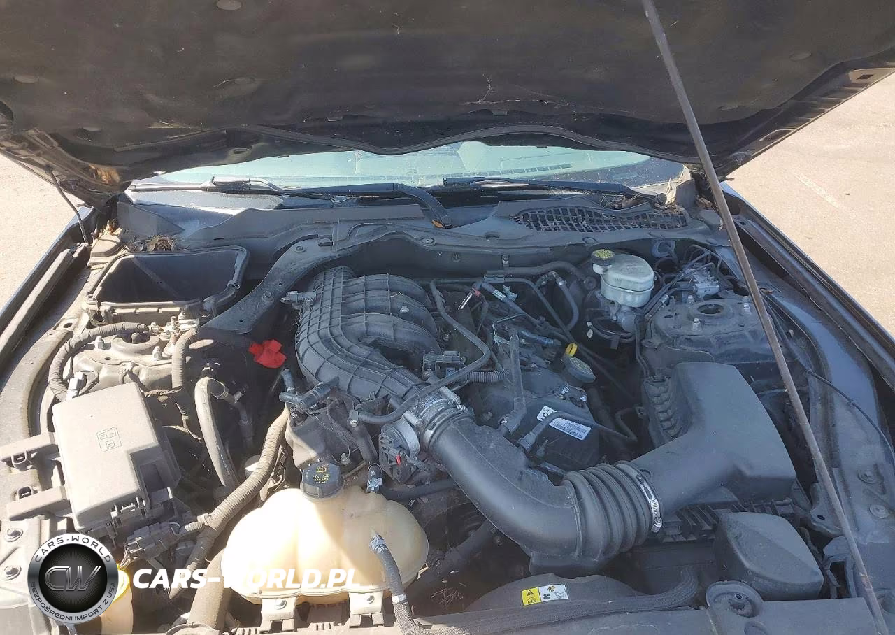 2016 Ford Mustang VIN:1FA6P8AM8G5292313 - 11