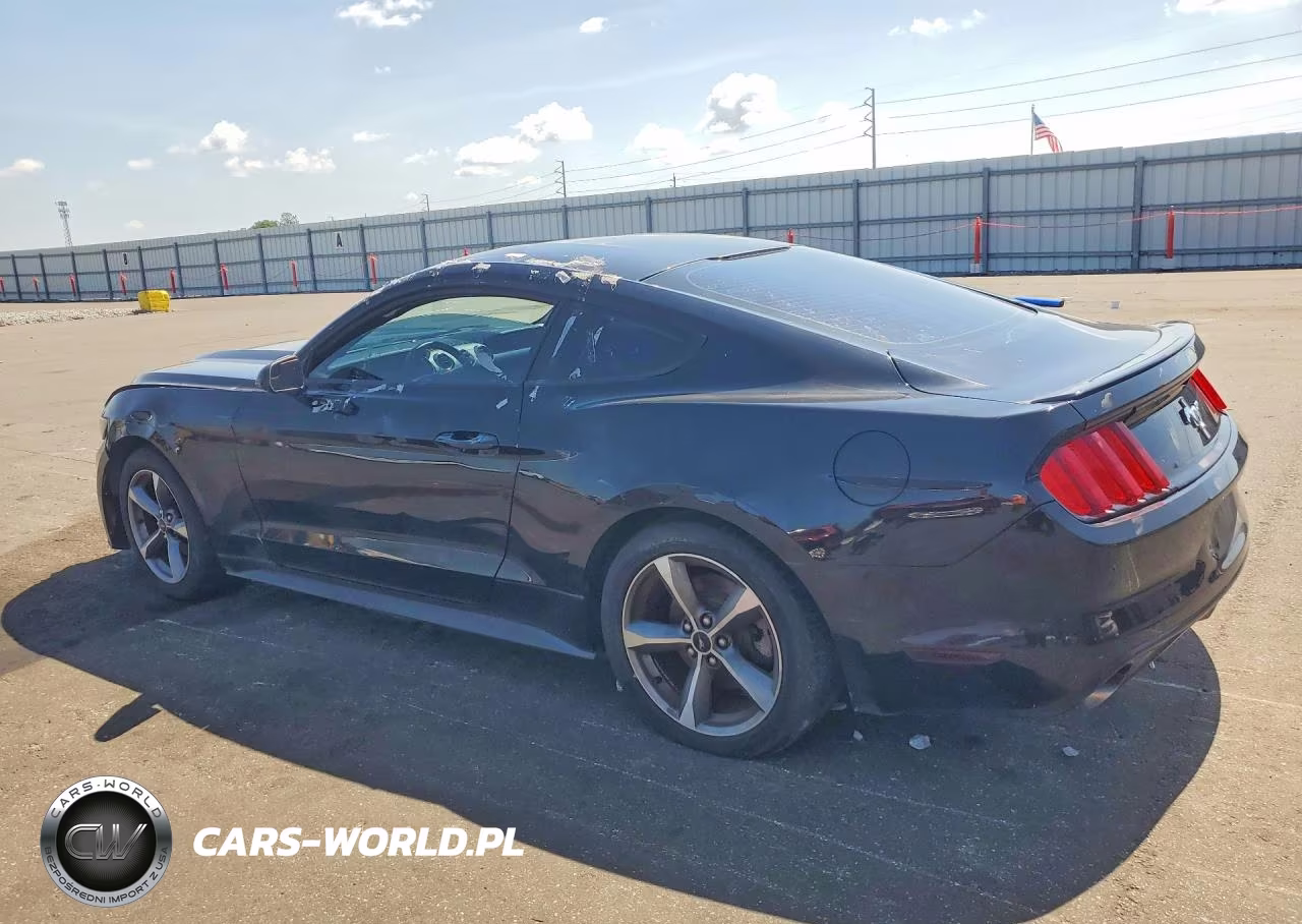 2016 Ford Mustang VIN:1FA6P8AM8G5292313 - 2