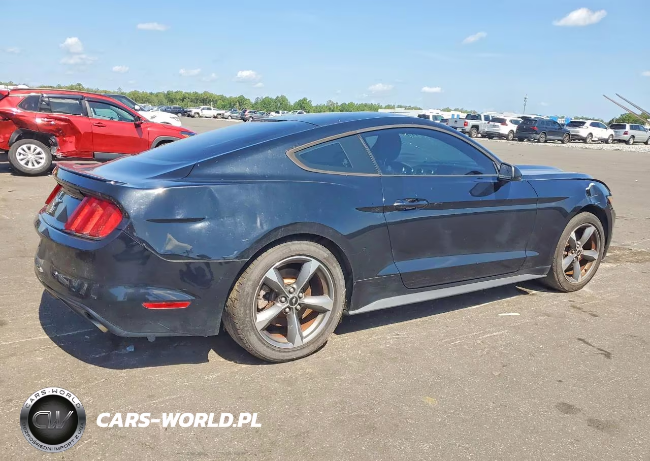 2016 Ford Mustang VIN:1FA6P8AM8G5292313 - 3