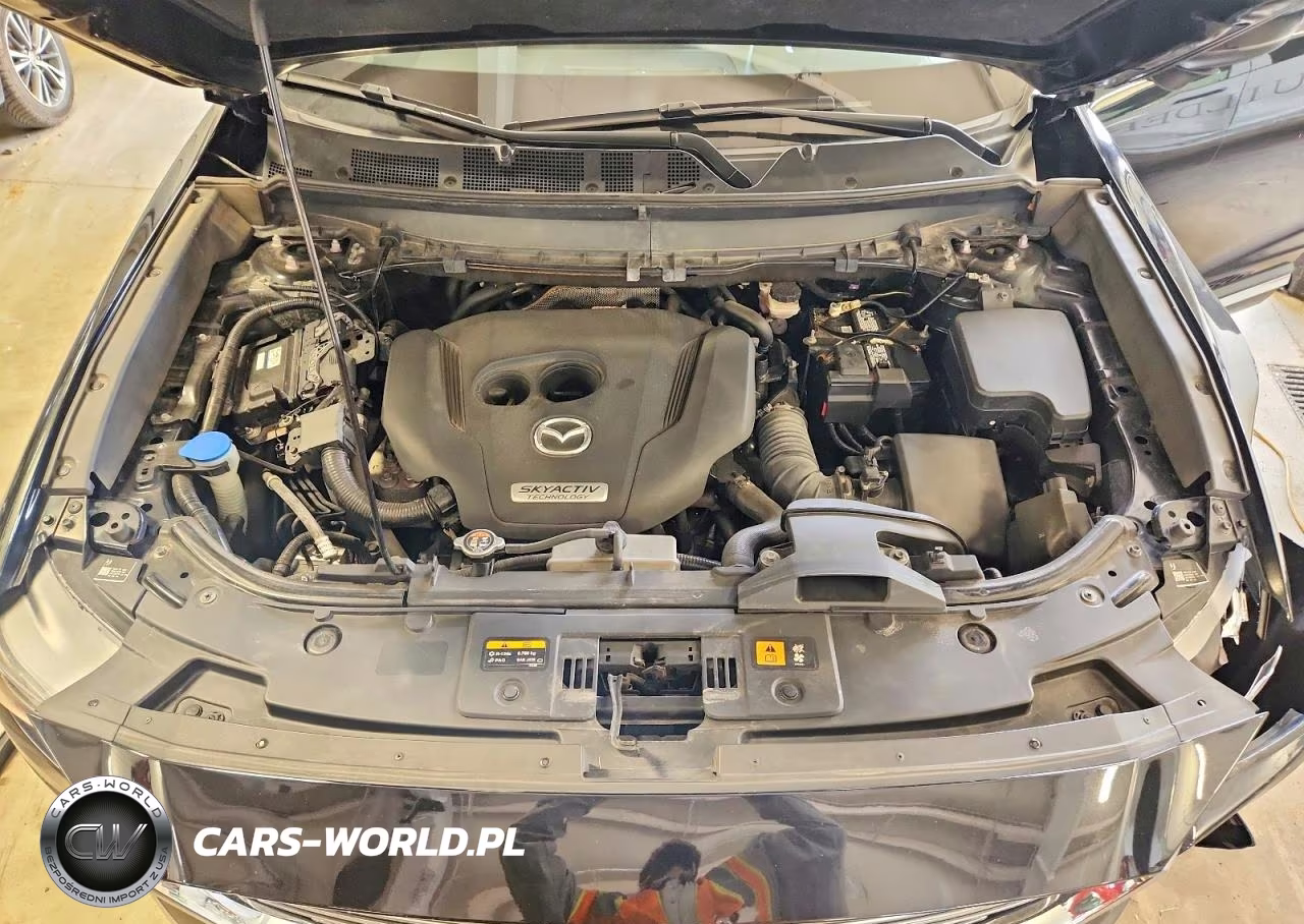 2018 Mazda Cx-9 Grand Touring VIN:JM3TCBDY9J0201145 - 11