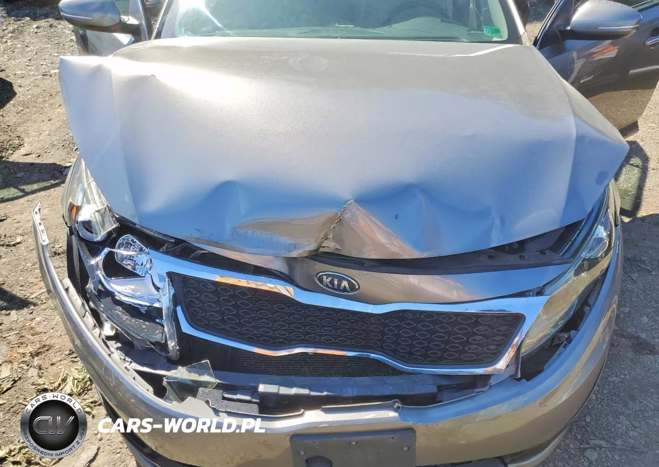 2013 Kia Optima Ex VIN:5XXGN4A77DG184473 - 11