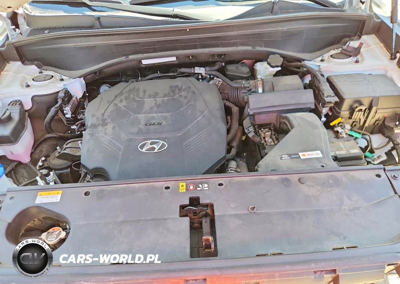 2023 Hyundai Palisade Xrt VIN:KM8R34GE3PU530694 - 12