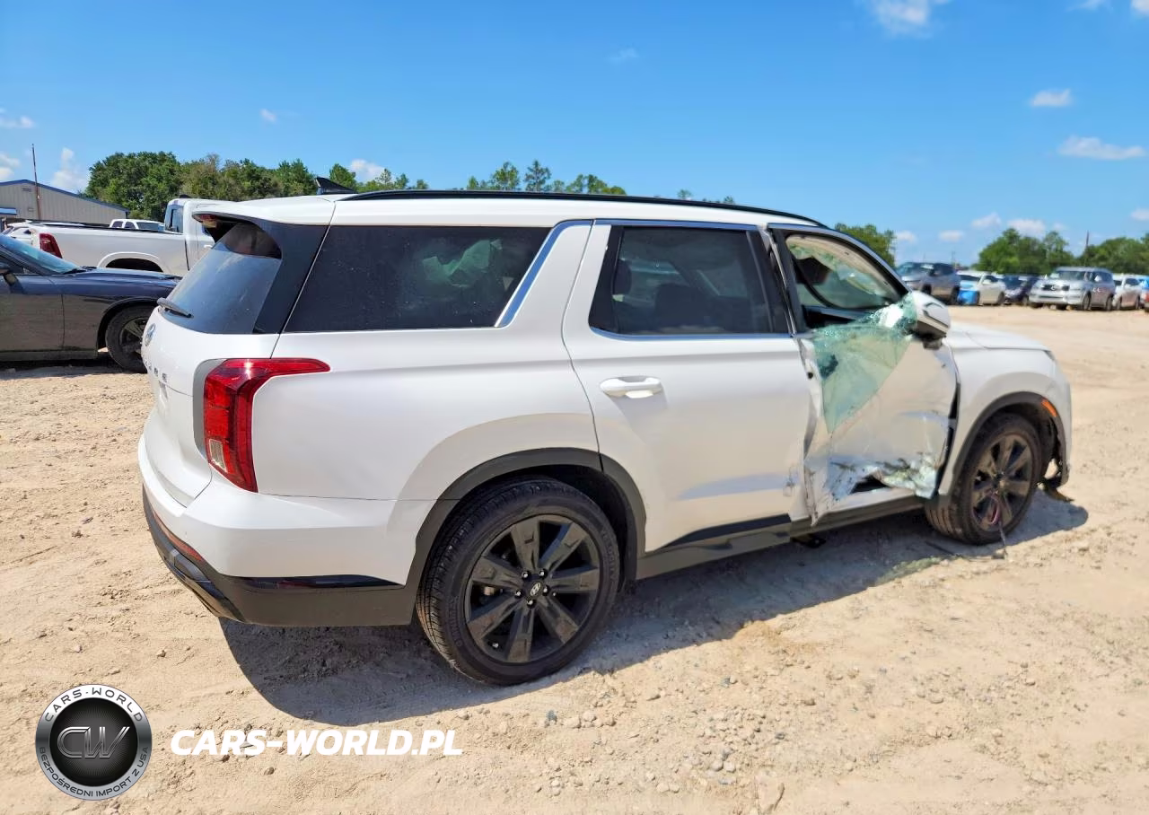 2023 Hyundai Palisade Xrt VIN:KM8R34GE3PU530694 - 3