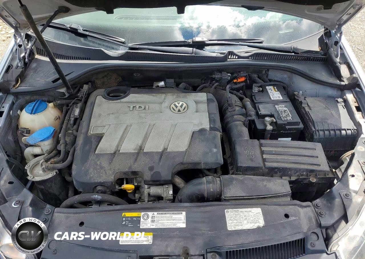 2014 Volkswagen Golf VIN:WVWDM7AJ4EW007401 - 11