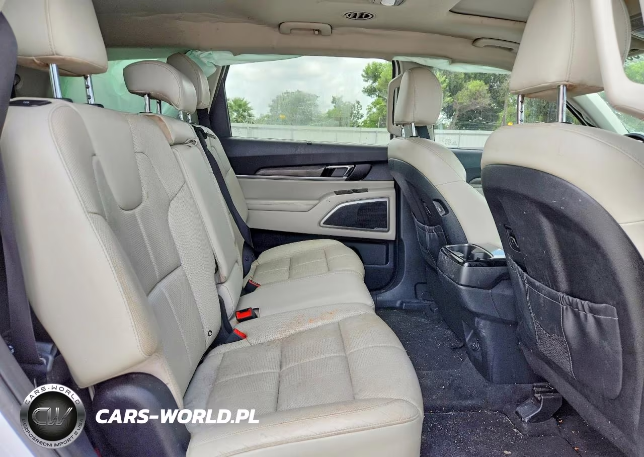 2020 Kia Telluride Ex VIN:5XYP34HC0LG083651 - 10
