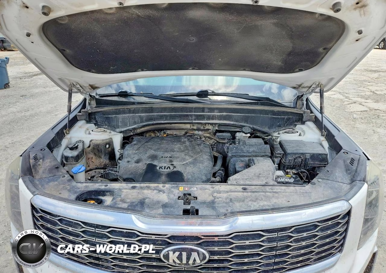 2020 Kia Telluride Ex VIN:5XYP34HC0LG083651 - 11