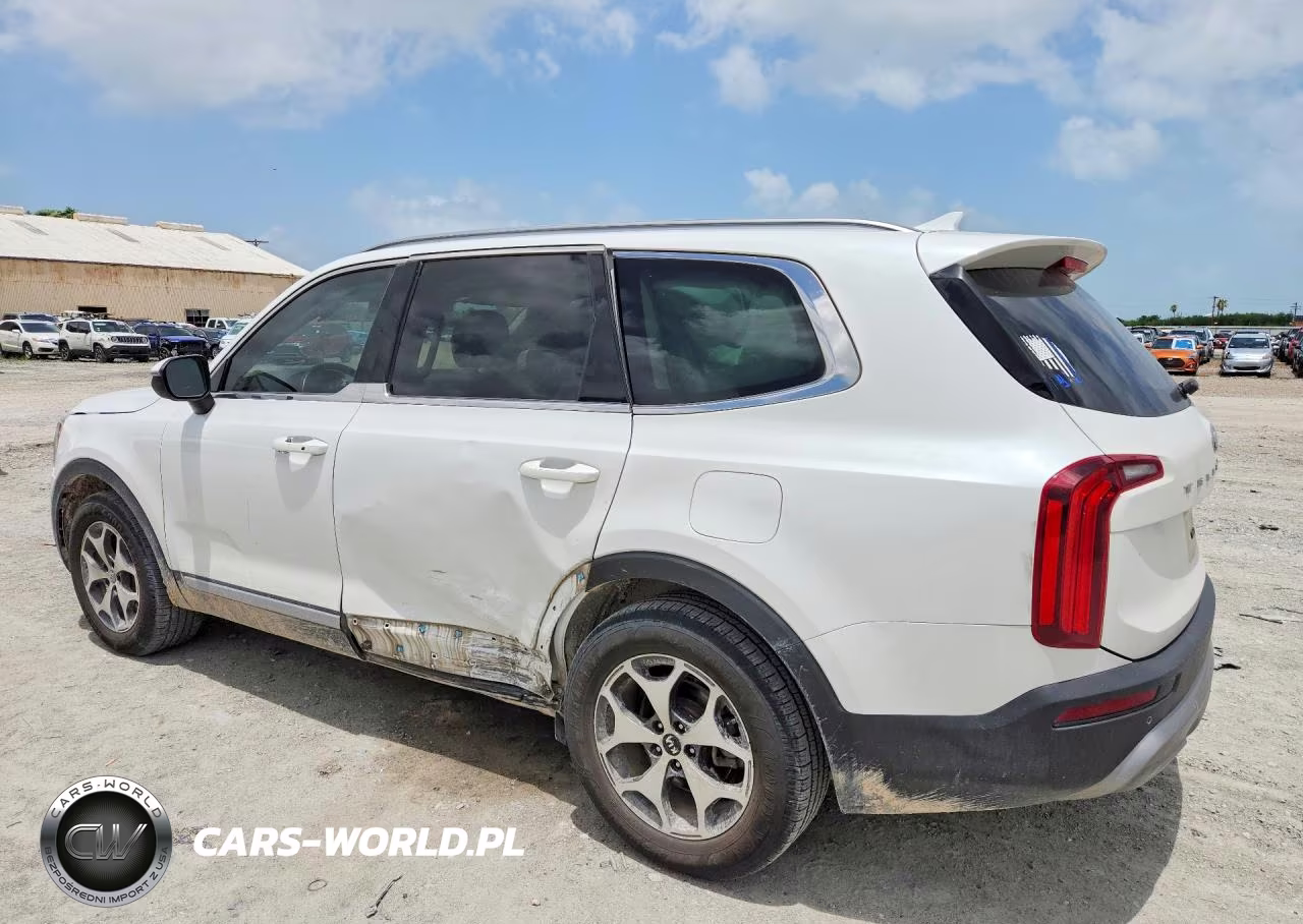 2020 Kia Telluride Ex VIN:5XYP34HC0LG083651 - 2