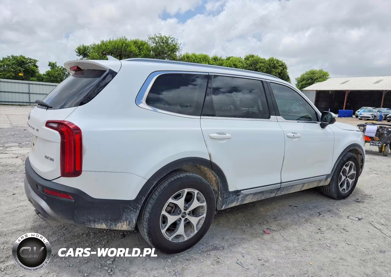 2020 Kia Telluride Ex VIN:5XYP34HC0LG083651 - 3