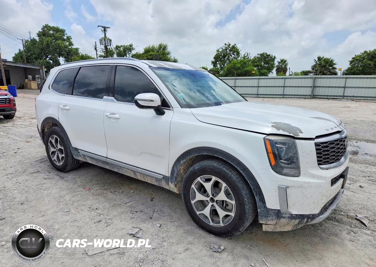 2020 Kia Telluride Ex VIN:5XYP34HC0LG083651 - 4
