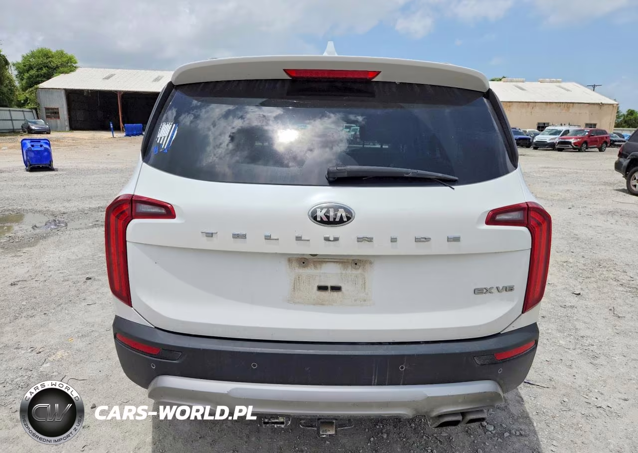 2020 Kia Telluride Ex VIN:5XYP34HC0LG083651 - 6