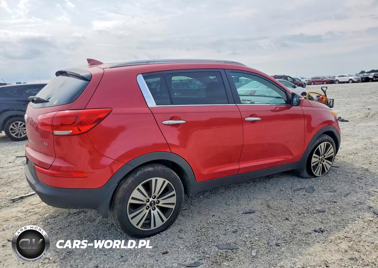 2014 Kia Sportage VIN:KNDPC3AC8E7611957 - 3