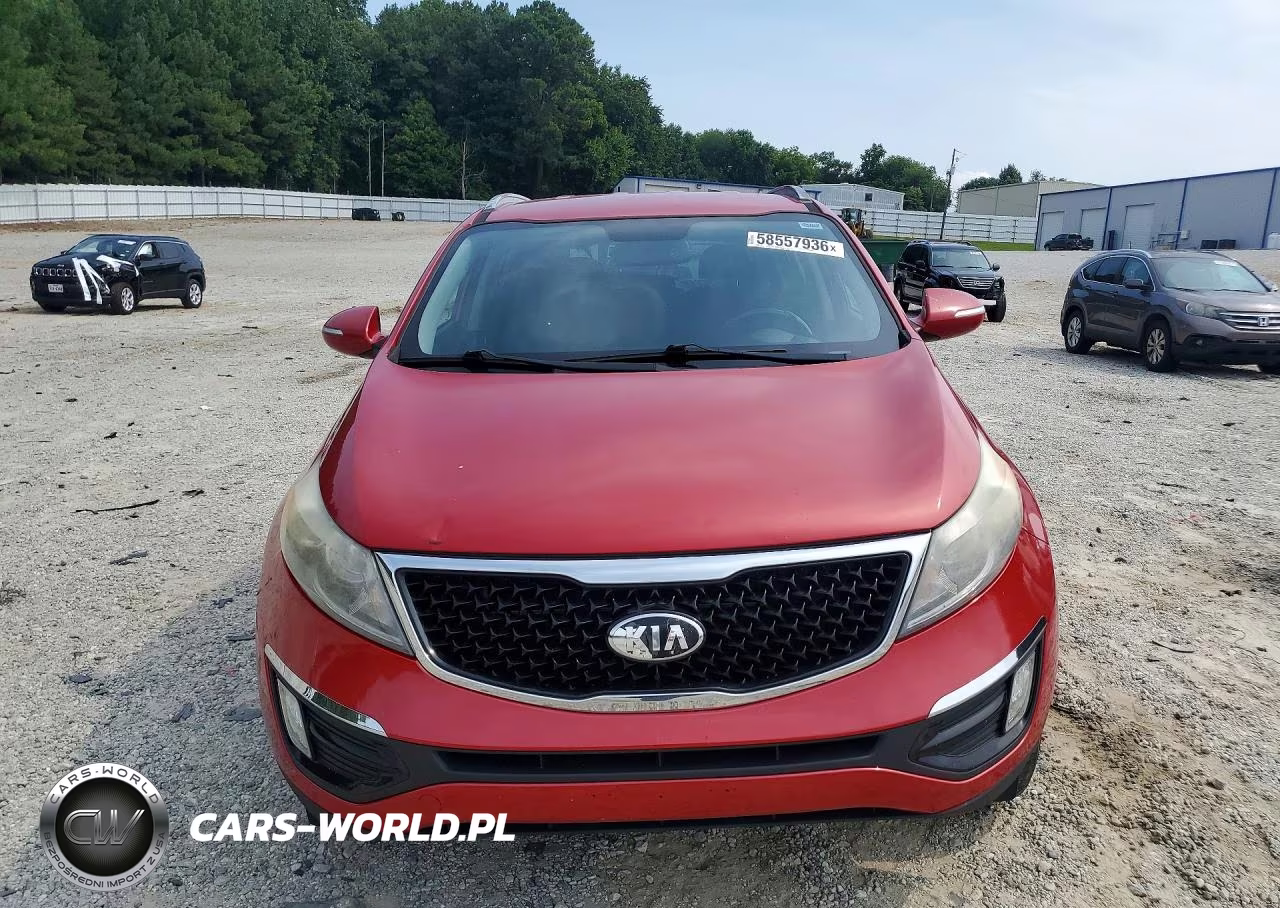 2014 Kia Sportage VIN:KNDPC3AC8E7611957 - 5