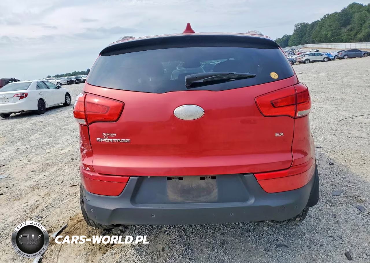 2014 Kia Sportage VIN:KNDPC3AC8E7611957 - 6