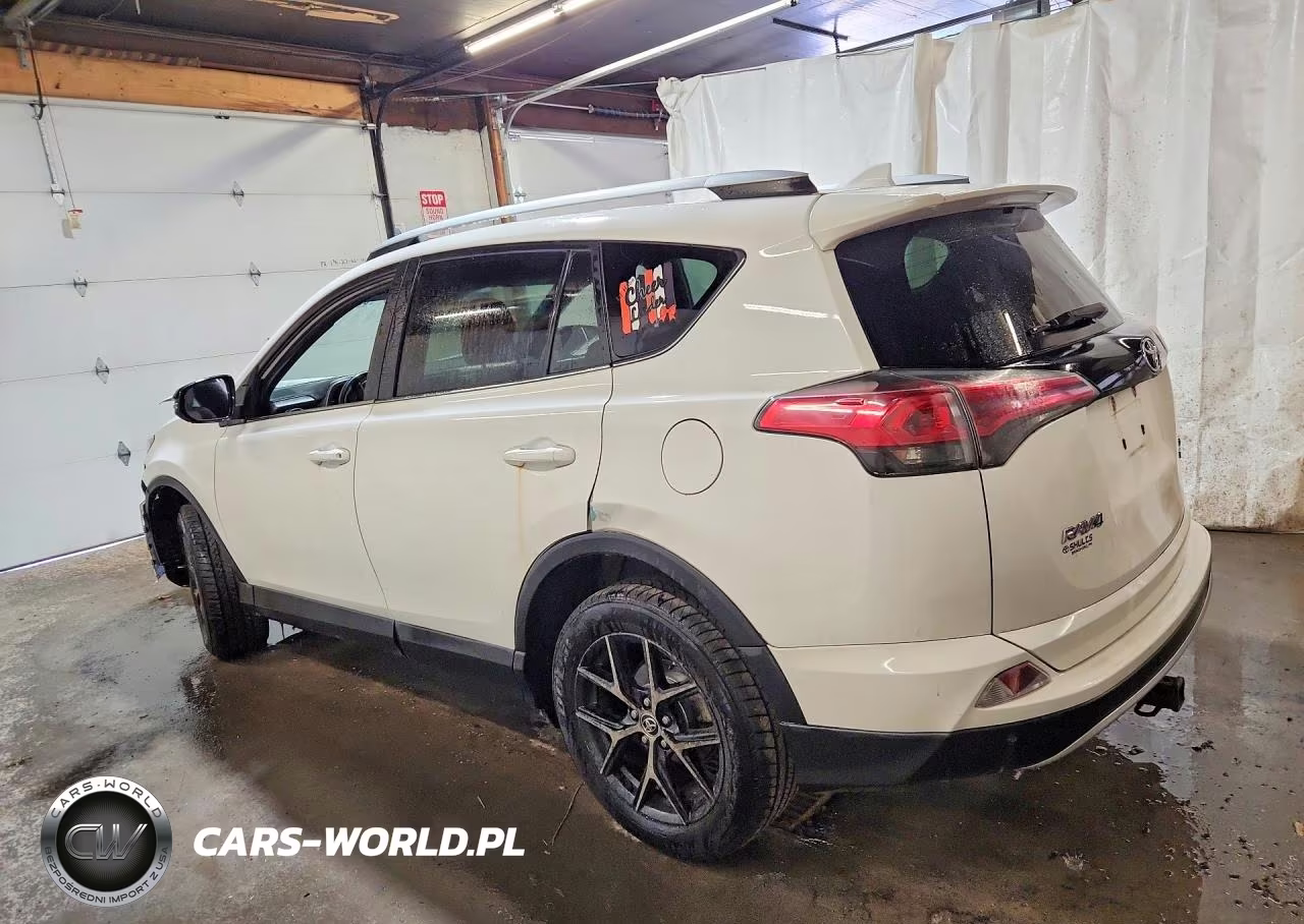 2016 Toyota Rav4 Se VIN:2T3JFREV8GW498448 - 2
