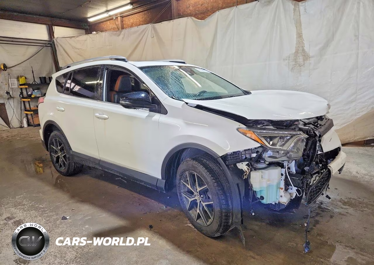2016 Toyota Rav4 Se VIN:2T3JFREV8GW498448 - 4