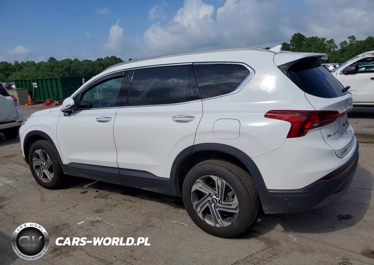 2023 Hyundai Santa Fe Sel VIN:5NMS2DAJ6PH657770 - 2