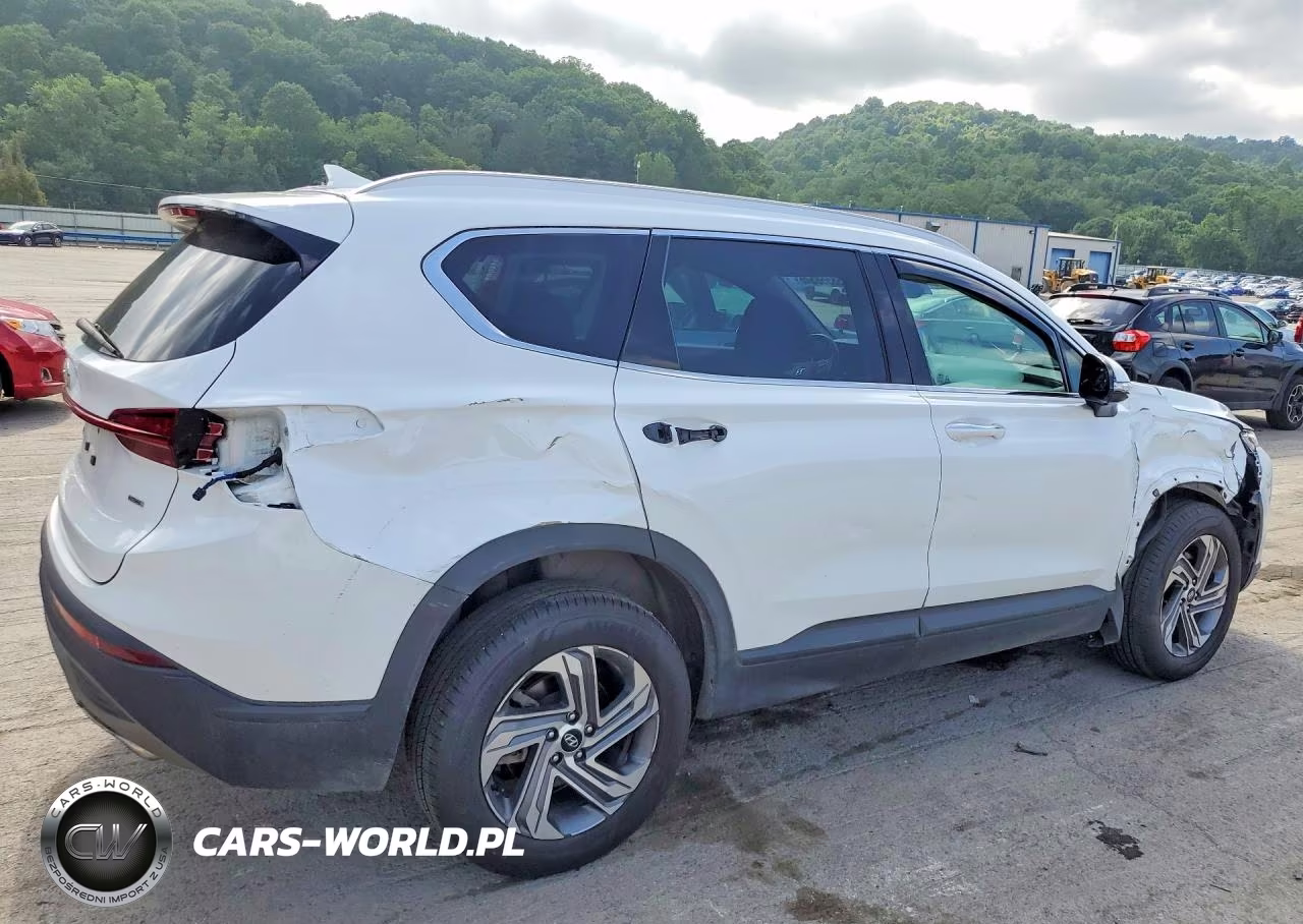 2023 Hyundai Santa Fe Sel VIN:5NMS2DAJ6PH657770 - 3