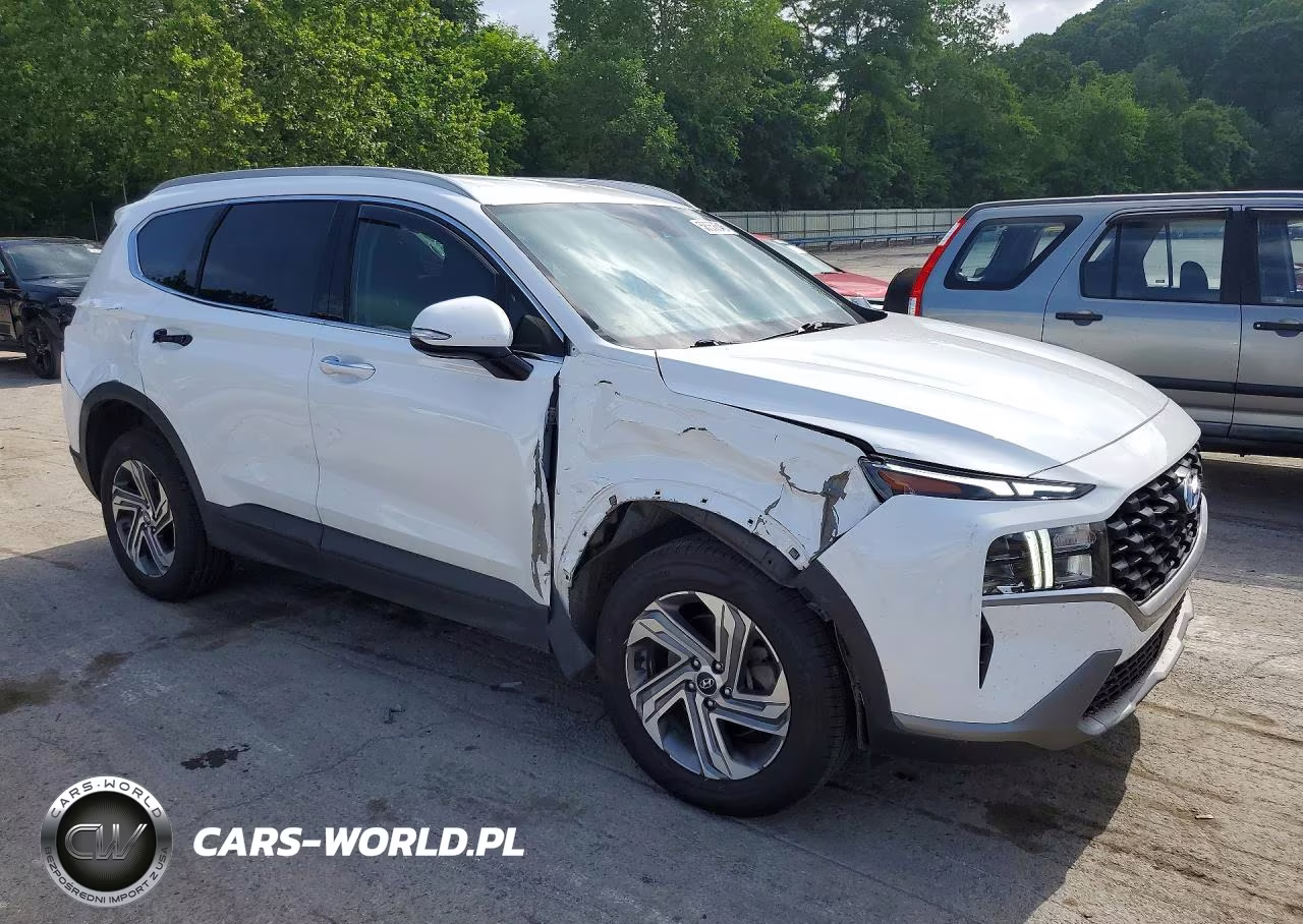 2023 Hyundai Santa Fe Sel VIN:5NMS2DAJ6PH657770 - 4