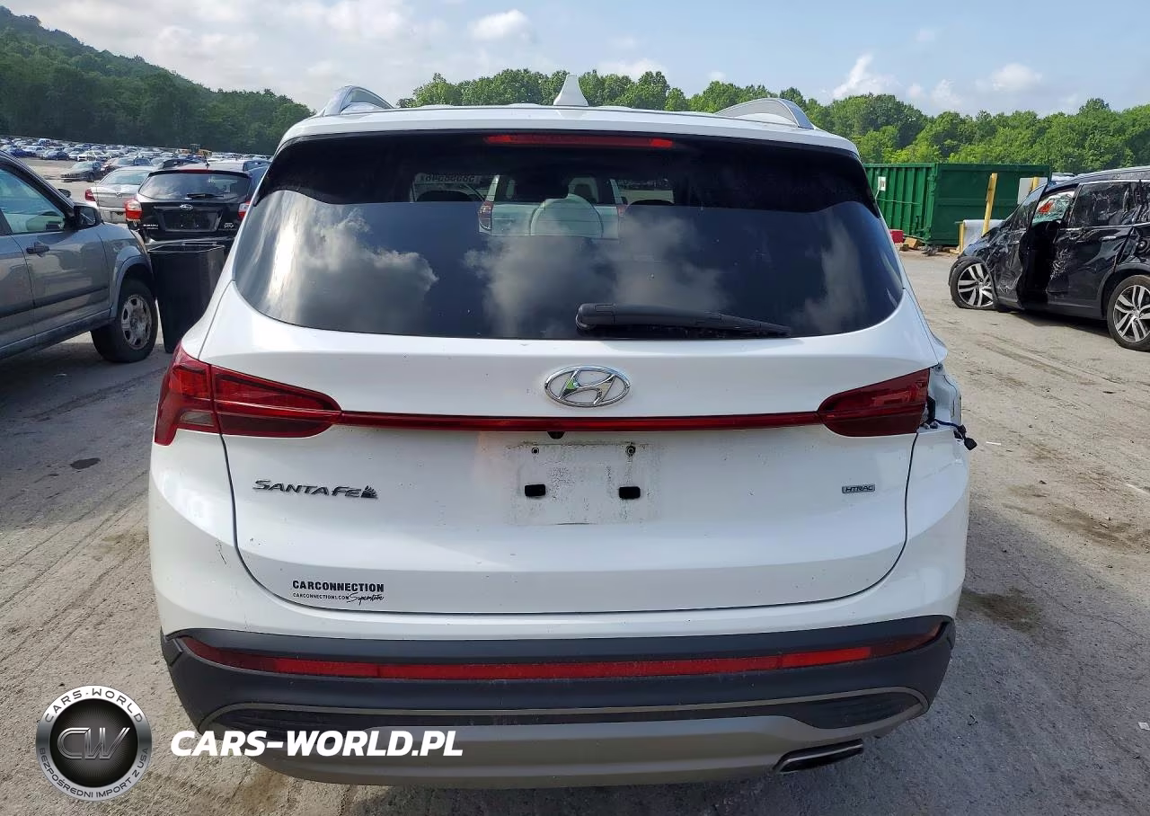 2023 Hyundai Santa Fe Sel VIN:5NMS2DAJ6PH657770 - 6
