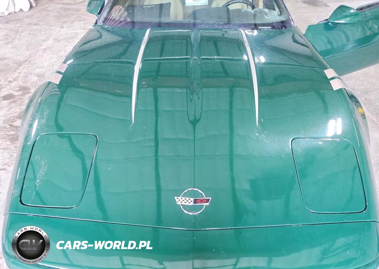 1992 Chevrolet Corvette VIN:1G1YY23P9N5110449 - 11