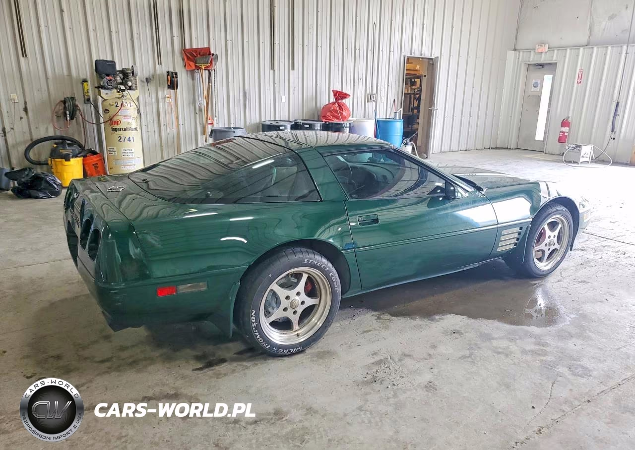 1992 Chevrolet Corvette VIN:1G1YY23P9N5110449 - 3