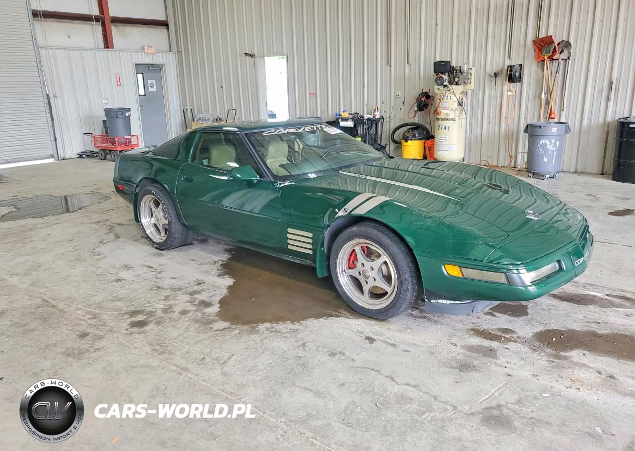 1992 Chevrolet Corvette VIN:1G1YY23P9N5110449 - 4