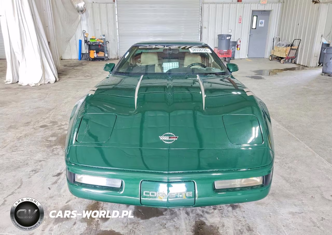 1992 Chevrolet Corvette VIN:1G1YY23P9N5110449 - 5