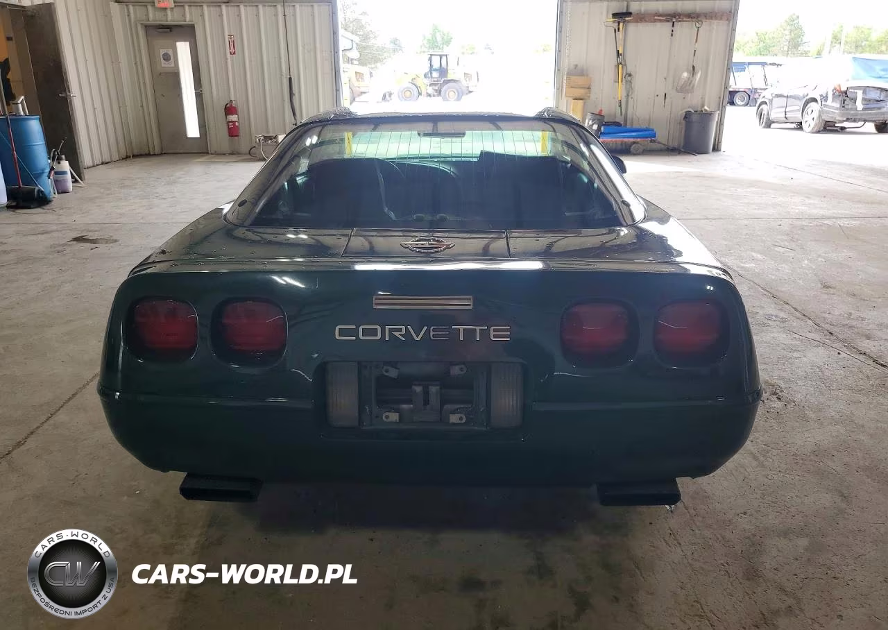 1992 Chevrolet Corvette VIN:1G1YY23P9N5110449 - 6