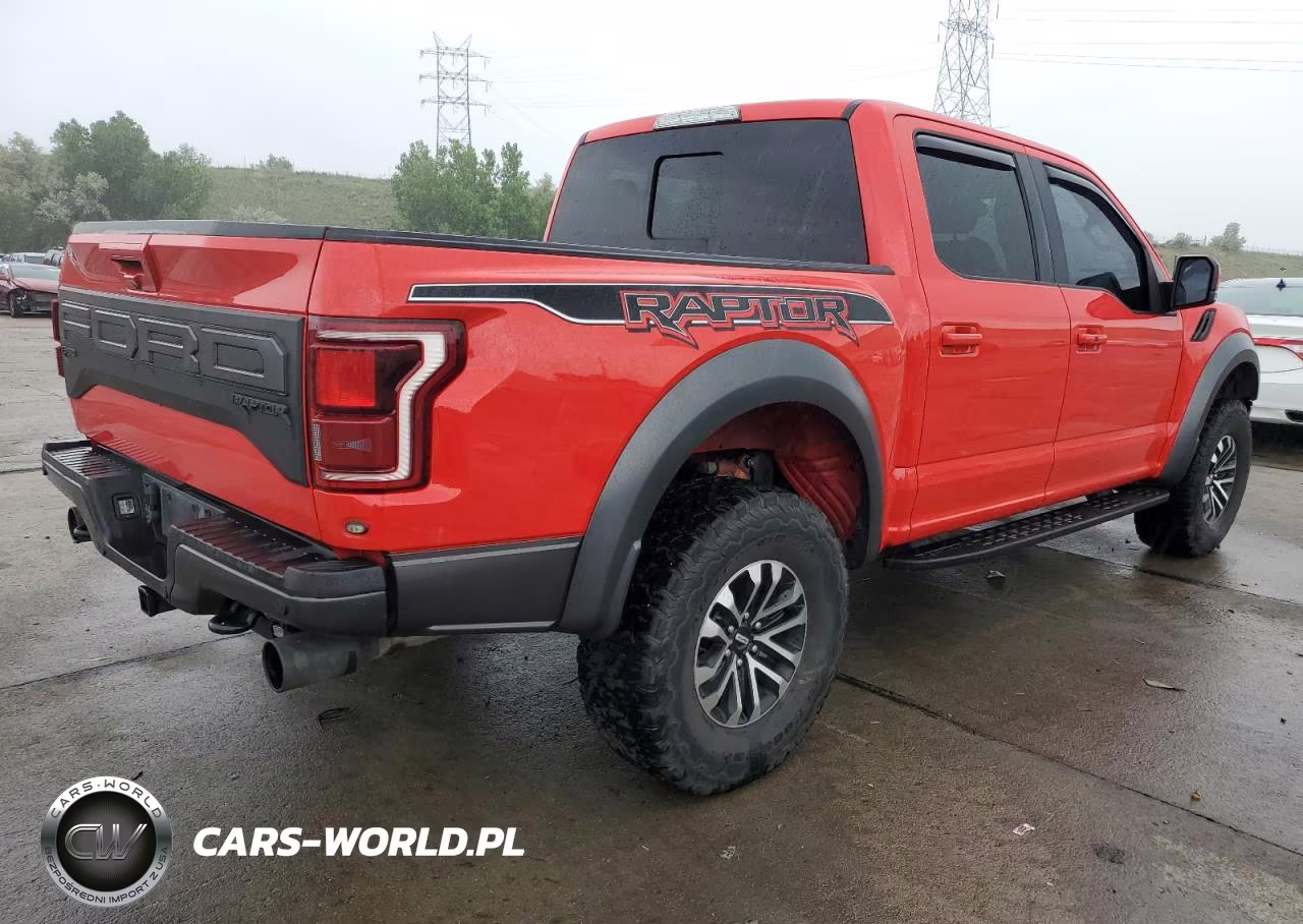 2019 Ford F150 Rapto VIN:IDCO004540ZZ - 3