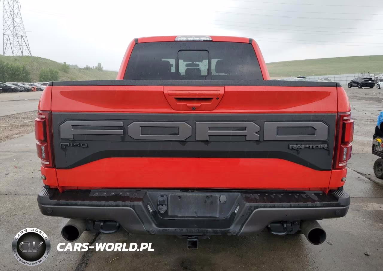 2019 Ford F150 Rapto VIN:IDCO004540ZZ - 6