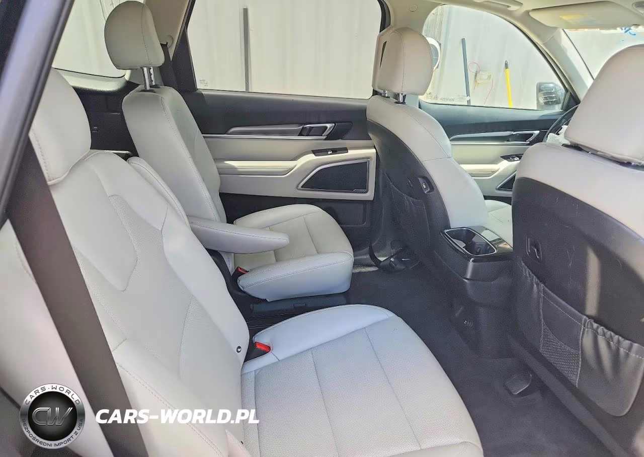 2020 Kia Telluride S VIN:5XYP64HC4LG062261 - 11