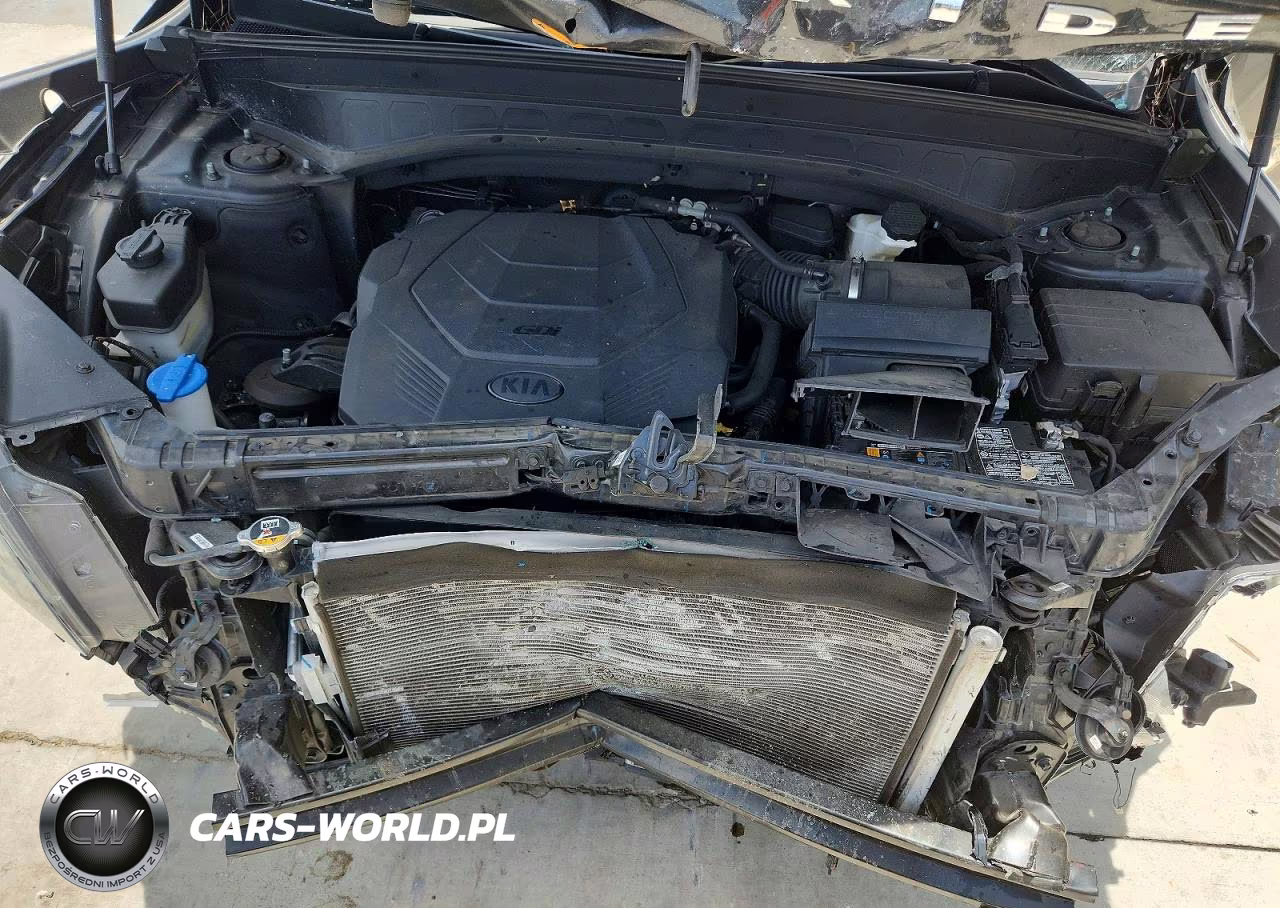 2020 Kia Telluride S VIN:5XYP64HC4LG062261 - 12