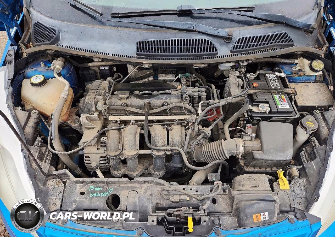 2013 Ford Fiesta Se VIN:3FADP4EJ5DM144271 - 11