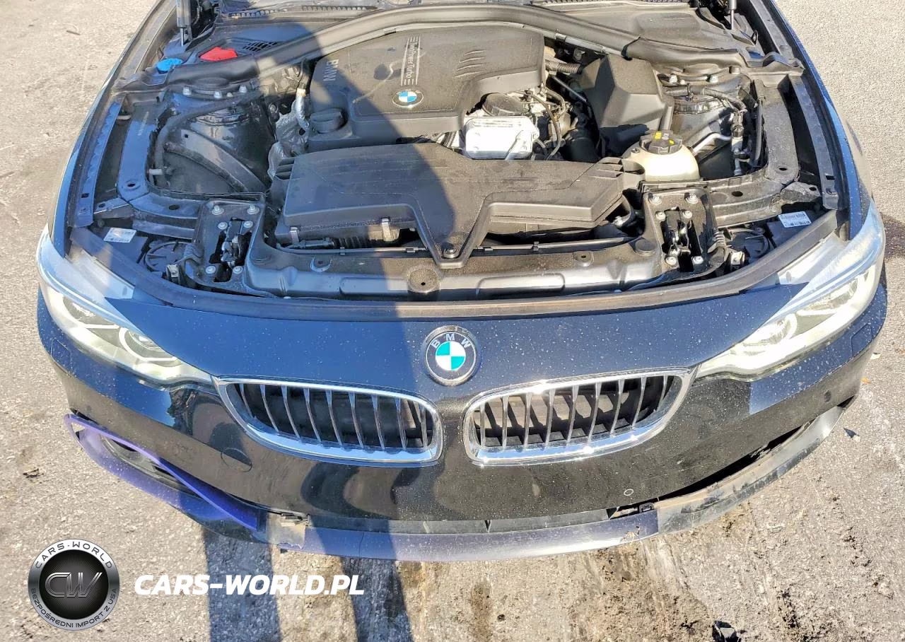 2016 BMW 428 Xi Gran Coupe Sulev VIN:WBA4C9C59GG141572 - 11