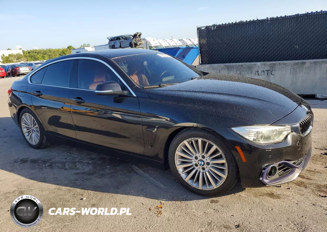 2016 BMW 428 Xi Gran Coupe Sulev VIN:WBA4C9C59GG141572 - 4