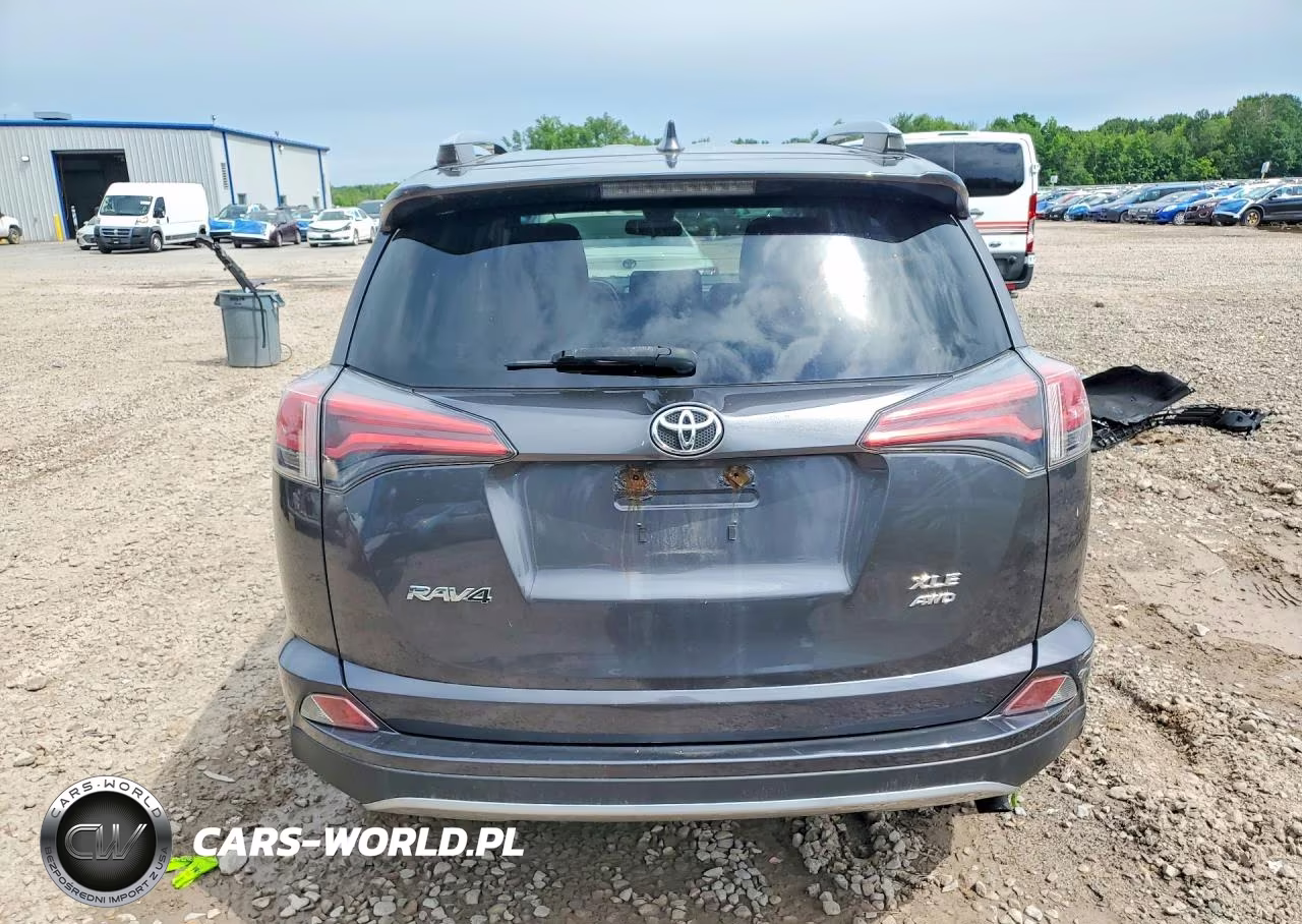 2018 Toyota Rav4 Xle VIN:JTMRFREV9JJ189466 - 6