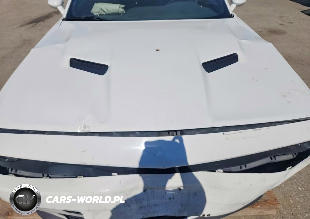 2018 Dodge Challenger Sxt VIN:2C3CDZAG2JH294911 - 11