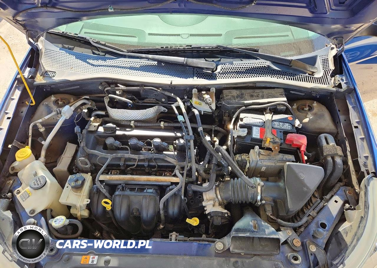 2009 Ford Focus Se VIN:1FAHP35N69W210803 - 11