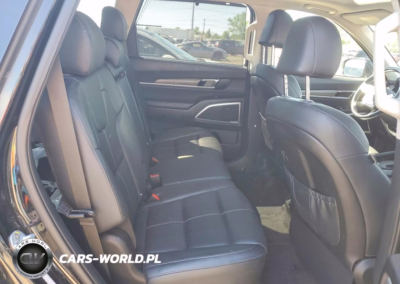 2020 Kia Telluride Ex VIN:5XYP3DHCXLG025028 - 11