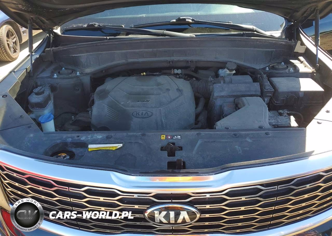 2020 Kia Telluride Ex VIN:5XYP3DHCXLG025028 - 12