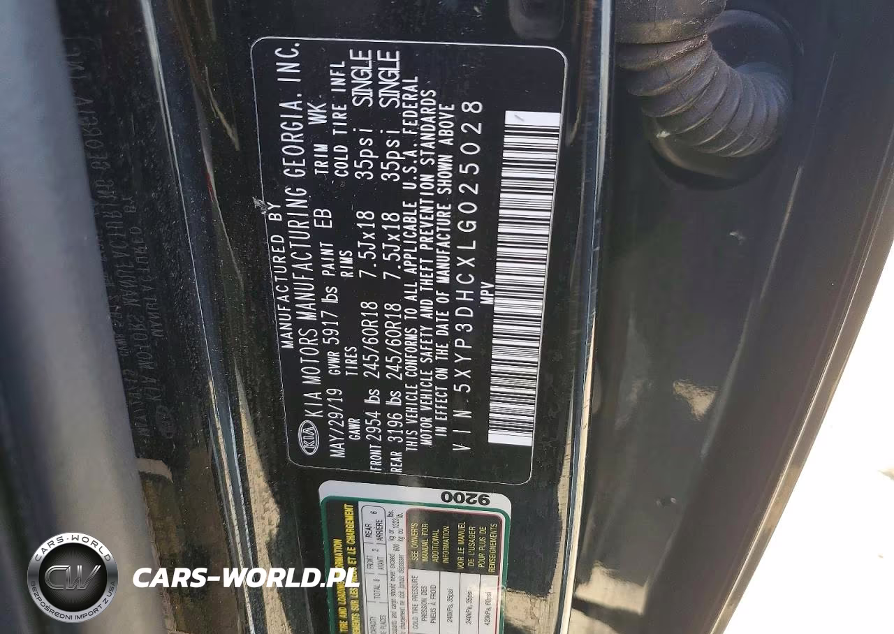 2020 Kia Telluride Ex VIN:5XYP3DHCXLG025028 - 13