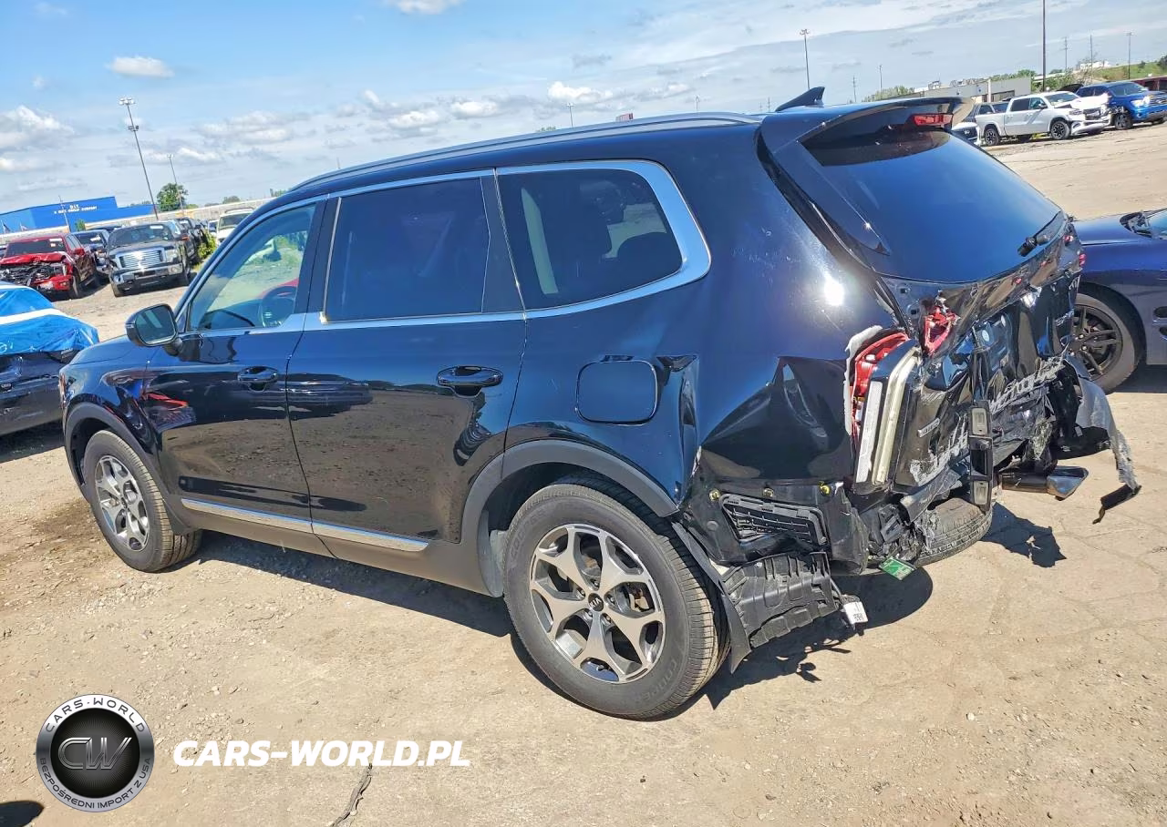 2020 Kia Telluride Ex VIN:5XYP3DHCXLG025028 - 2