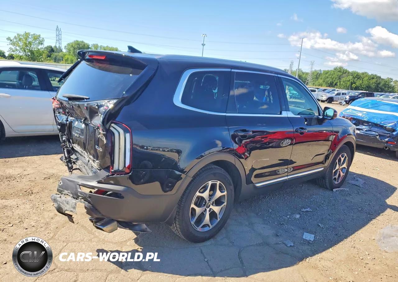 2020 Kia Telluride Ex VIN:5XYP3DHCXLG025028 - 3