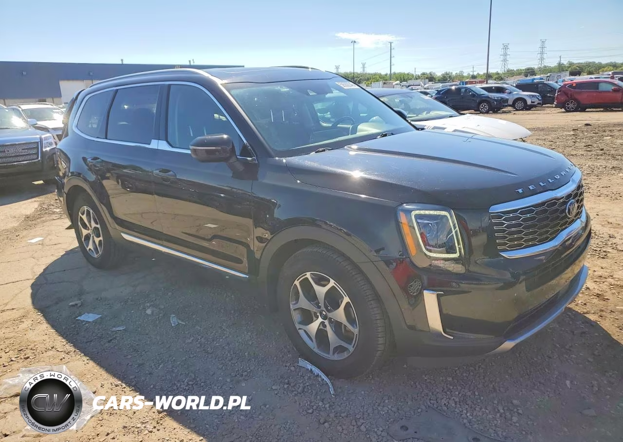 2020 Kia Telluride Ex VIN:5XYP3DHCXLG025028 - 4