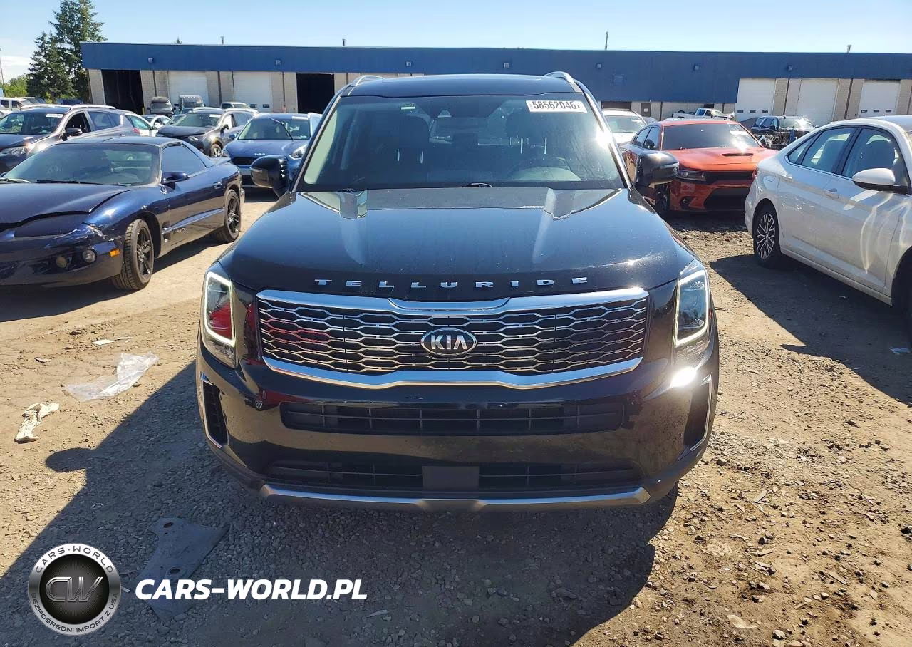 2020 Kia Telluride Ex VIN:5XYP3DHCXLG025028 - 5